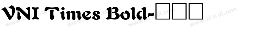 VNI Times Bold字体转换